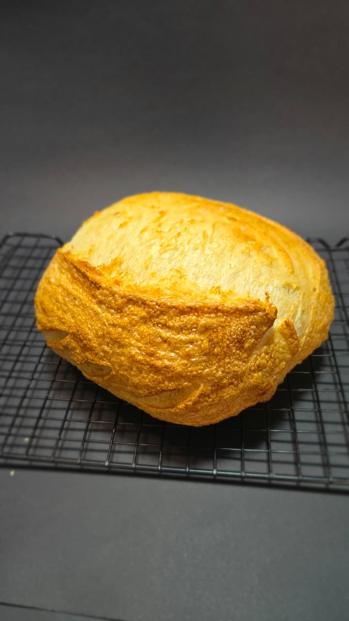 Pão campagne redondo, com casca dourada e pestana aberta
